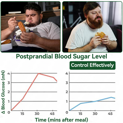 SI Health Online | Purelora® ACV × EGCG Dual-Action Herbal Wellness Drops (💧 Samo enkrat na dan, vidne spremembe že v 7 dneh)  ✅ Za debelost, ohlapno kožo, sladkorno bolezen, spalno apnejo, težave s sklepi in še več