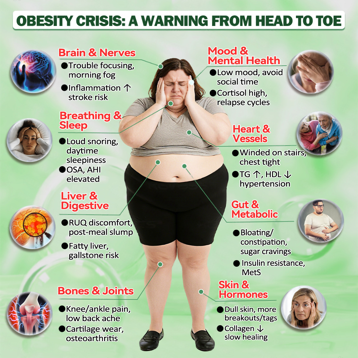 SI Health Online | Purelora® ACV × EGCG Dual-Action Herbal Wellness Drops (💧 Samo enkrat na dan, vidne spremembe že v 7 dneh)  ✅ Za debelost, ohlapno kožo, sladkorno bolezen, spalno apnejo, težave s sklepi in še več